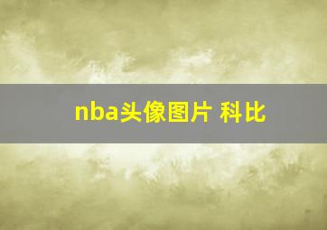 nba头像图片 科比